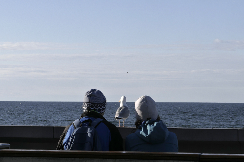 1371 :: Couple watching the sea